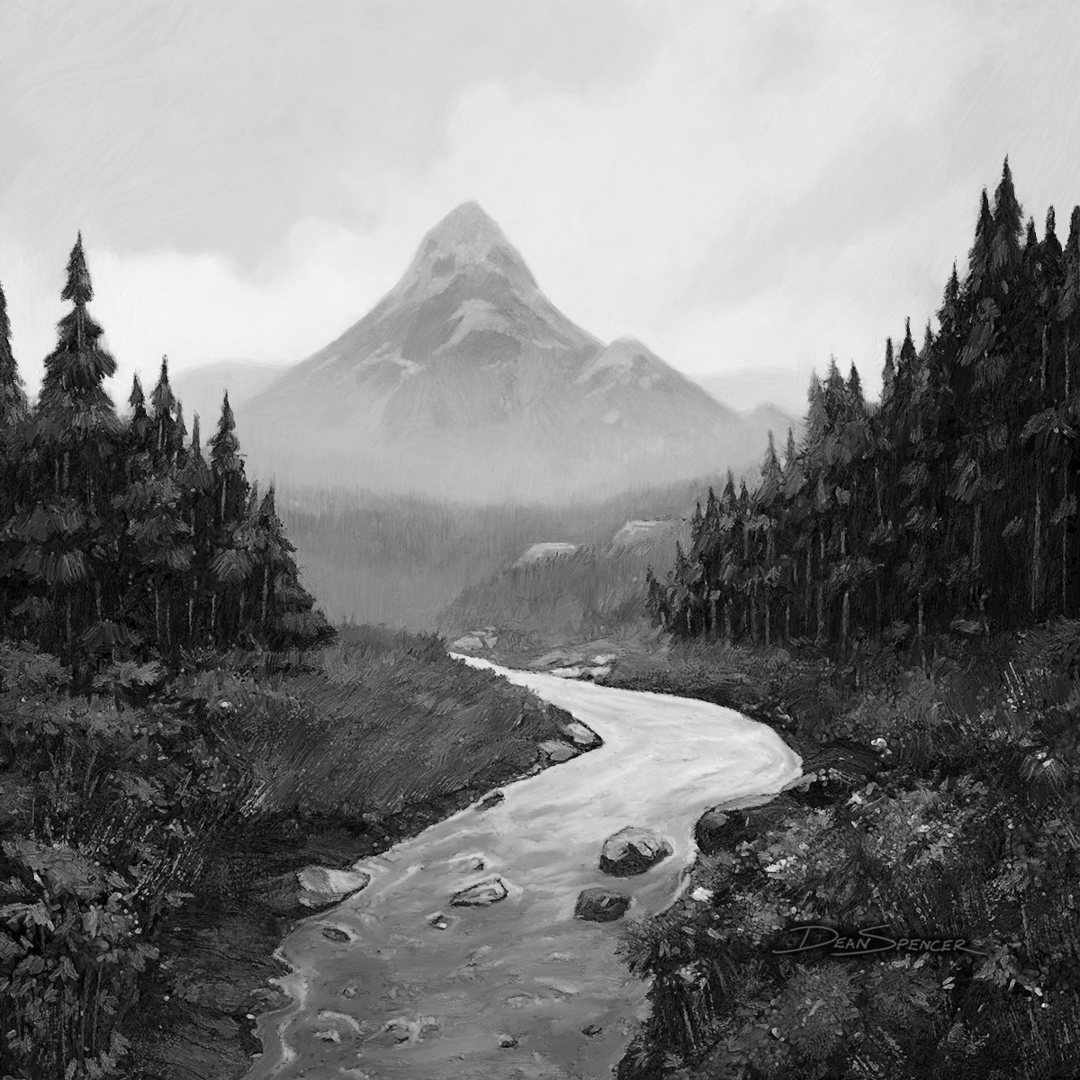 forest stream with mountain in background